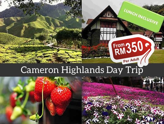 cameron highland tour package from kl