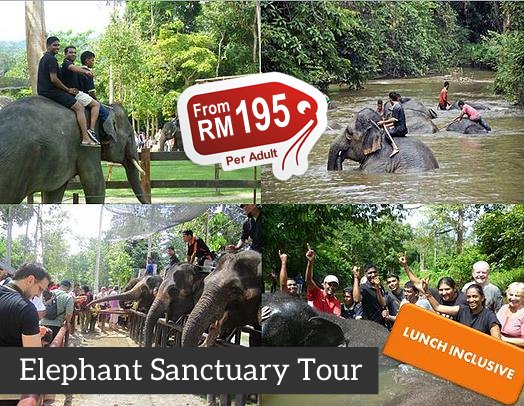 elephant sanctuary tour malaysia