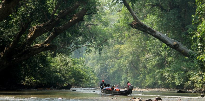 taman negara